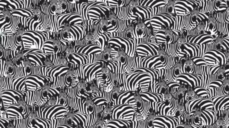 Can You Spot The Keyboard Hidden Amongst These Zebras Within 15 Secs? Solution And Explanation To The Optical Illusion