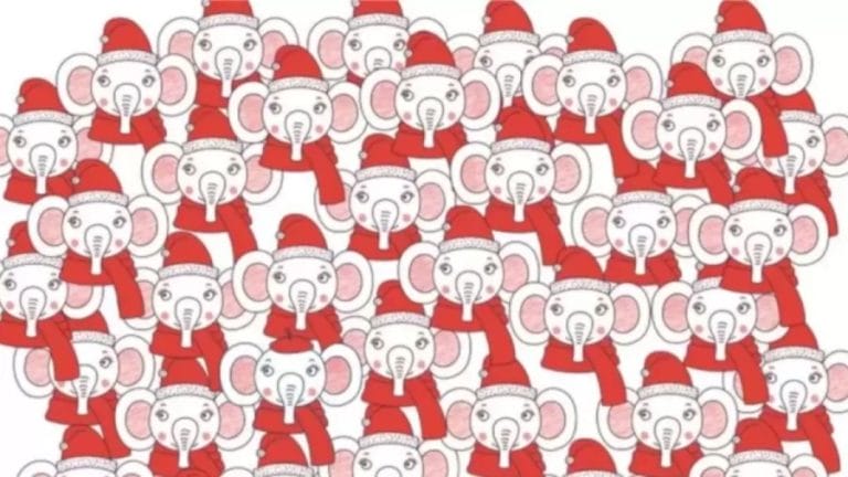 Optical Illusion: Can You Find The Elephant with a Beret in 15 Seconds?