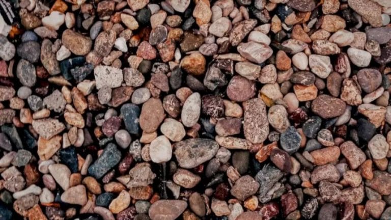 Optical Illusion: Can You See The Pearl Among These Stones?